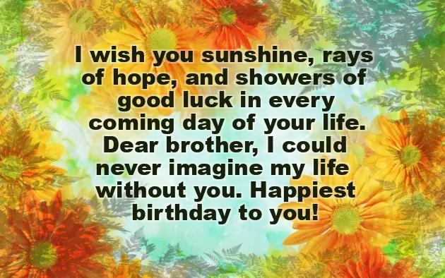 Birthday Wishes For A Caring Brother Birthday Wishes For A Caring Brother