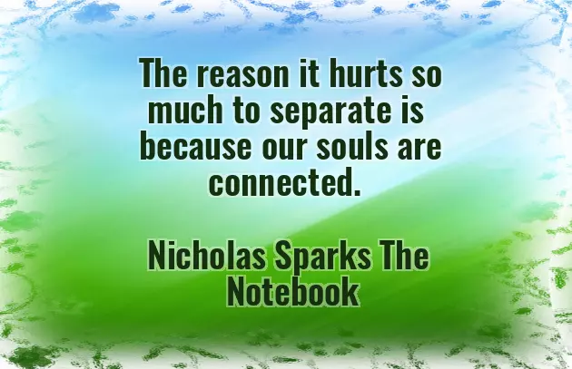 Have Nice Trip Wishes