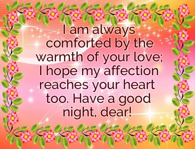 Have A Good Night Love You Have A Good Night Love You