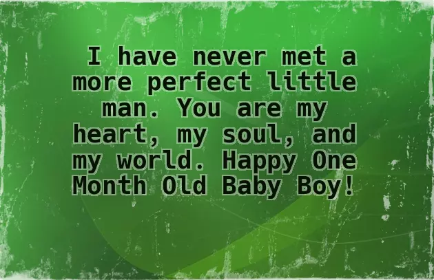 Happy One Month Birthday Baby Girl Quotes Happy One Month Birthday Baby Girl Quotes