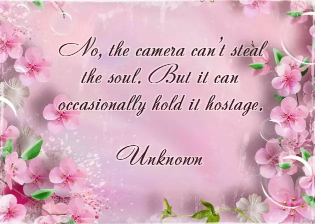 Book Of Quotes And Sayings