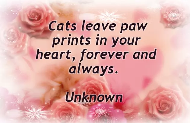 Poem For Grieving Friend Poem For Grieving Friend