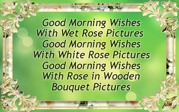 Morning Greetings With Roses