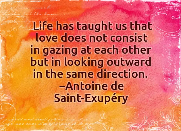 Happy Valentines Day Brother Funny