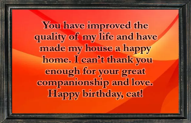 Birthday Wishes For Cats