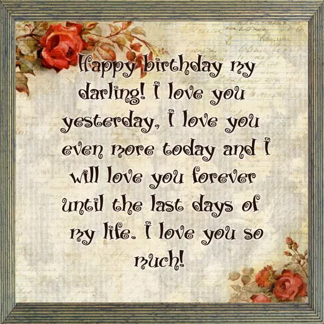 Happy Birthday Wishes To My Lover