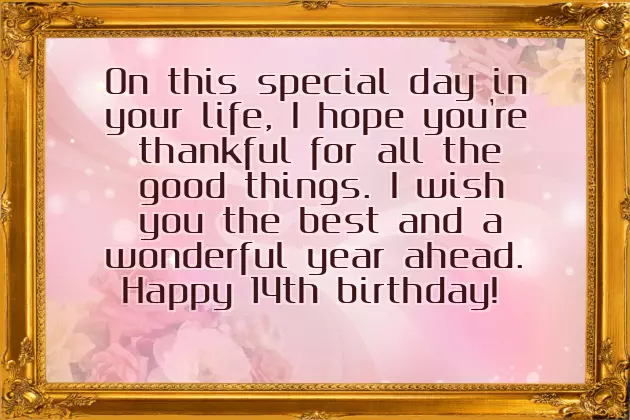 Birthday Wishes For 14 Year Old Niece Birthday Wishes For 14 Year Old Niece