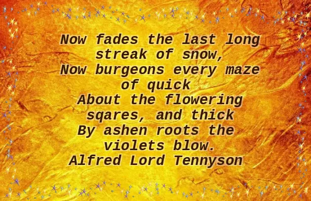 Funny Funeral Poems For A Friend