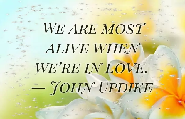 Happy Birthday To My Perfect Man