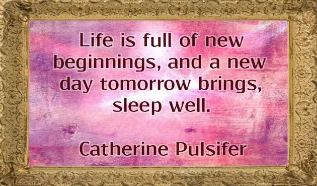 Good Night Wishes Quotes