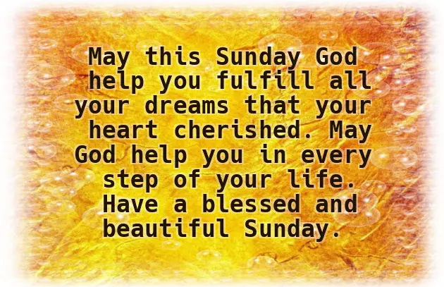 Sunday Happy Good Morning Sunday Happy Good Morning