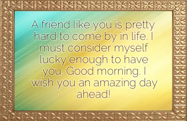 Funny Good Morning Monday Funny Good Morning Monday