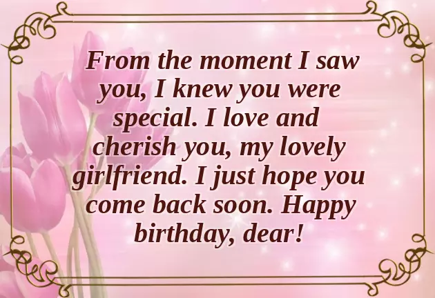 Happy Birthday Love Girlfriend Happy Birthday Love Girlfriend