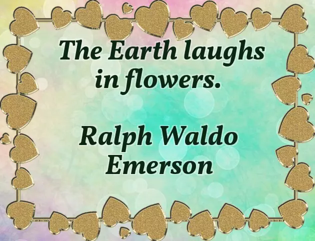 Easter Celebration Messages Easter Celebration Messages