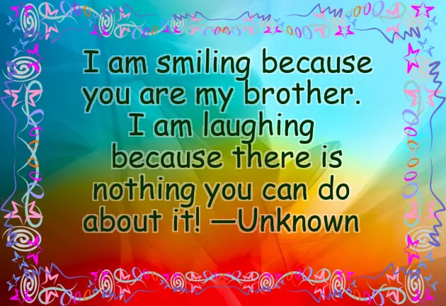 Funny Birthday Quotes For Big Brother Funny Birthday Quotes For Big Brother