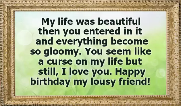 Funny Quotes On Birthday For Best Friend