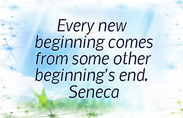 Sarcastic New Year Wishes Sarcastic New Year Wishes