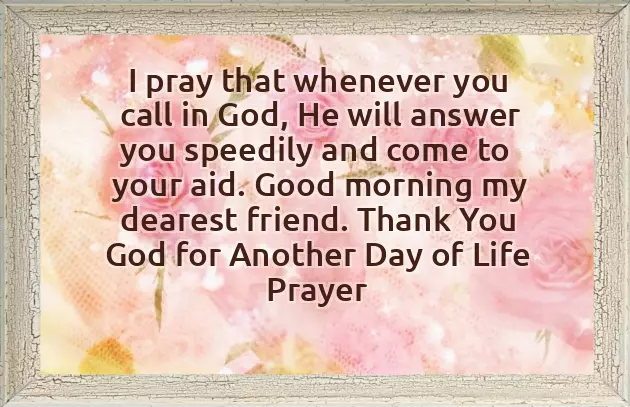 Sunday Blessings And Good Morning Sunday Blessings And Good Morning