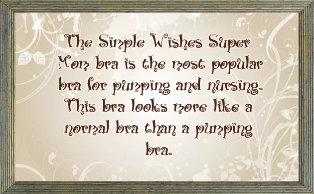 Pumping Bra Simple Wishes Pumping Bra Simple Wishes