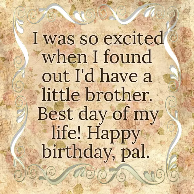 Quotes About My Sister Birthday Quotes About My Sister Birthday