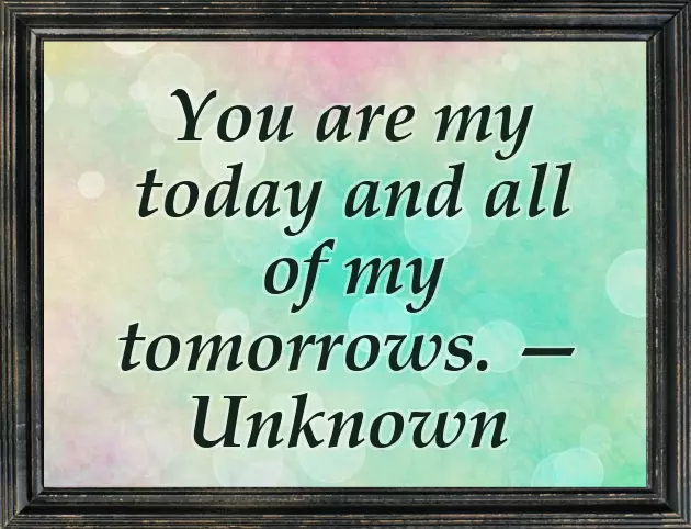 Happy Wedding Anniversary My Wife Happy Wedding Anniversary My Wife