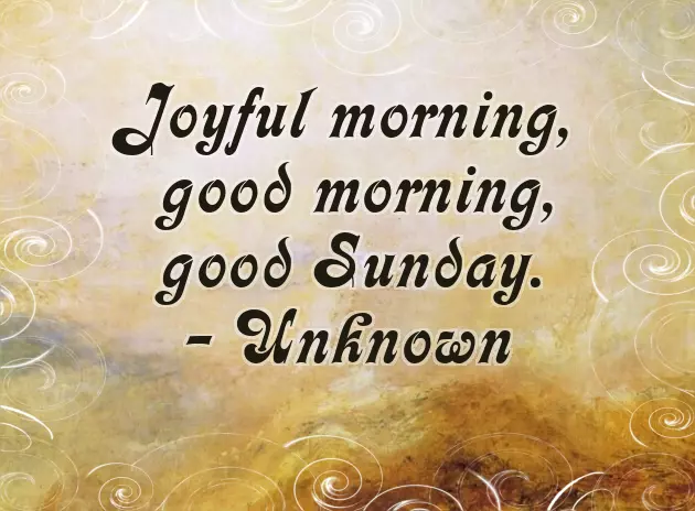 Funny Sunday Wishes Funny Sunday Wishes