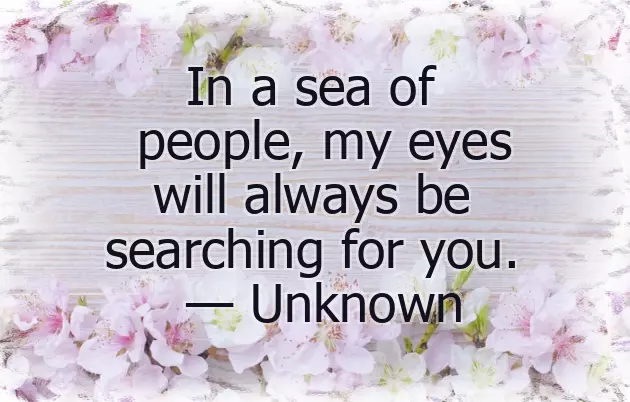 Birthday Quotes From Husband To Wife Birthday Quotes From Husband To Wife