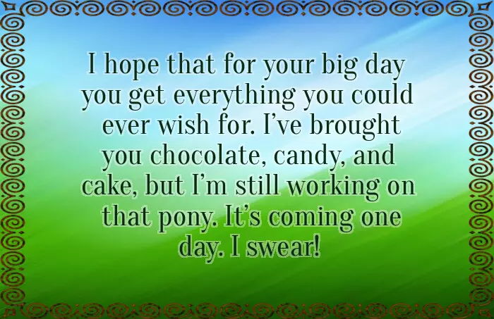 Funny Birthday Quotes For Niece