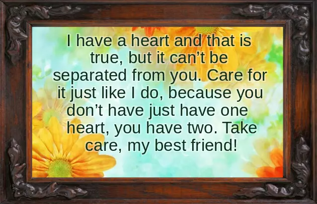 Best Friend Birthday Best Friend Birthday