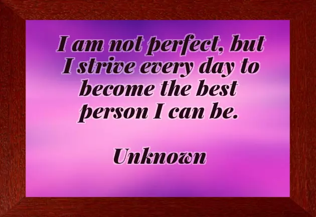 No One Is Perfect Quotes