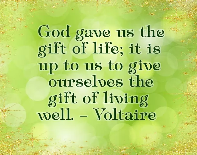 On Your Special Day I Wish You