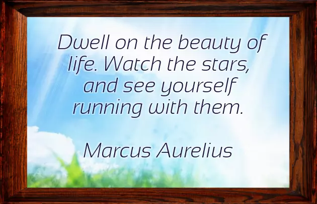 Quotation About Nature