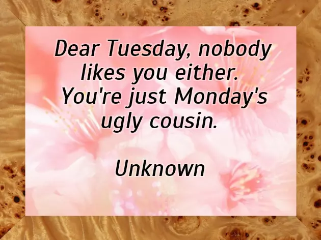 Tuesday Morning Greetings Funny Tuesday Morning Greetings Funny