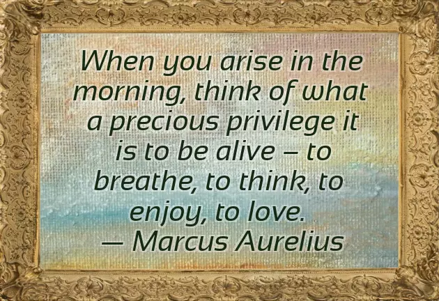 Giving Importance Quotes