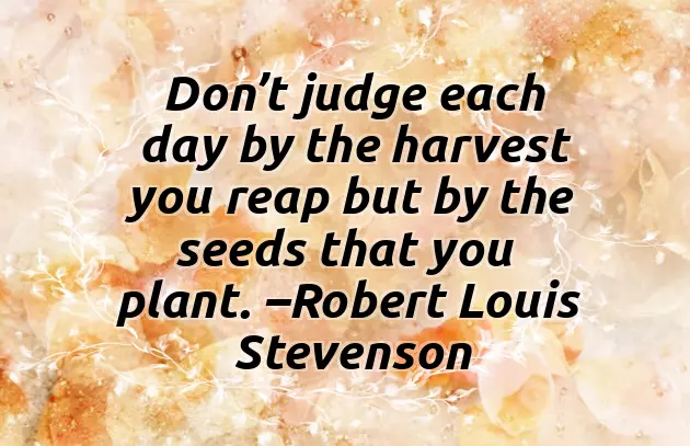 5Th Grade Graduation Wishes 5Th Grade Graduation Wishes