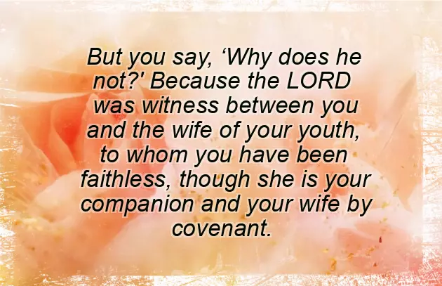 Best Wedding Bible Verses