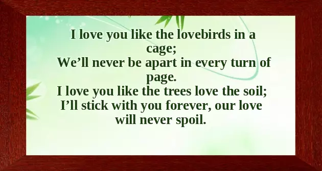 My Love Poems For Her