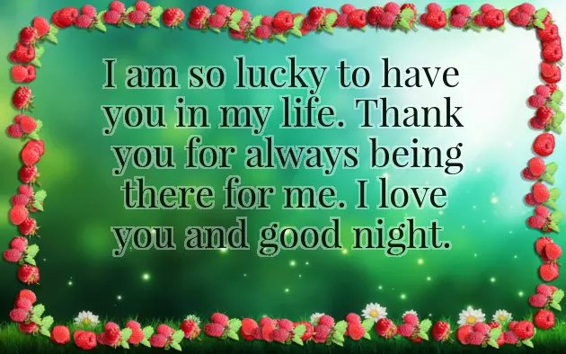 Good Night My Precious Love Good Night My Precious Love