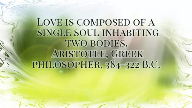 Wedding Congratulations Message Funny Wedding Congratulations Message Funny