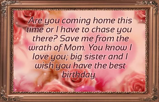 Brother Wishing Sister Birthday Quotes Brother Wishing Sister Birthday Quotes