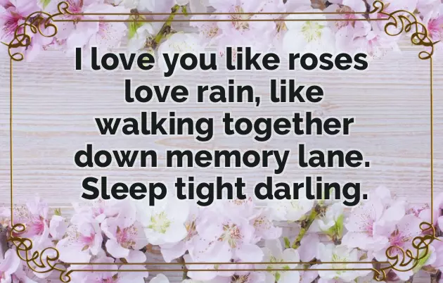 Goodnight Text Message To A Friend