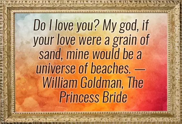 Wedding Countdown Caption Wedding Countdown Caption