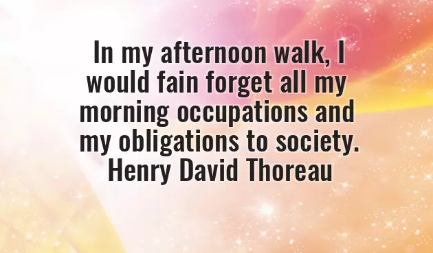 Wish You A Good Evening