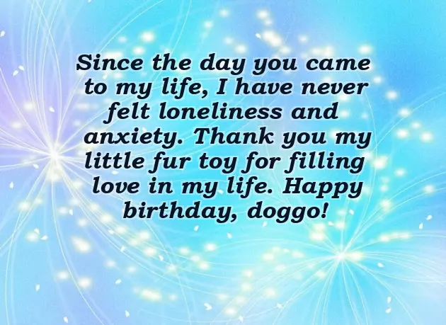 Fathers Day Message From The Dog