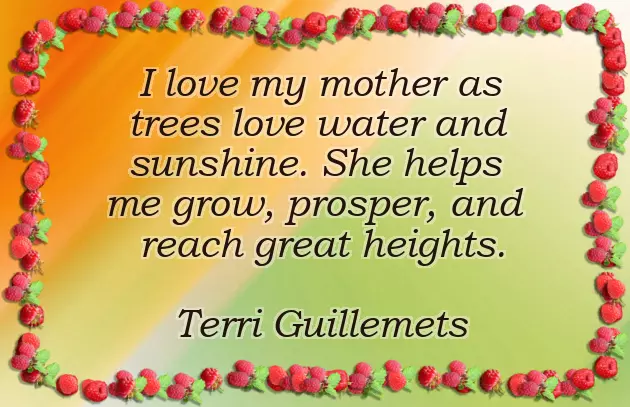 Happy Birthday Wishes Quotes For Father Happy Birthday Wishes Quotes For Father