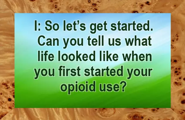 The Book I Wish My Parents The Book I Wish My Parents