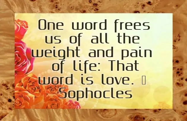 Romantic Marriage Quotes