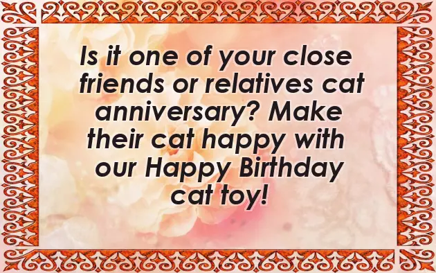 Happy Birthday Cat Happy Birthday Cat