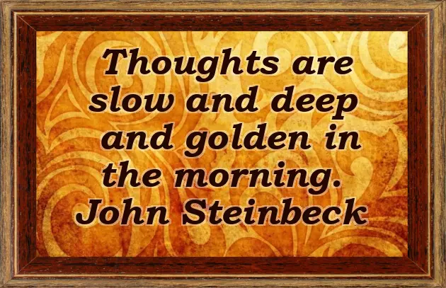 Good Morning Wishes For Special One Good Morning Wishes For Special One