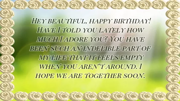 Quotes For My Girlfriend Birthday